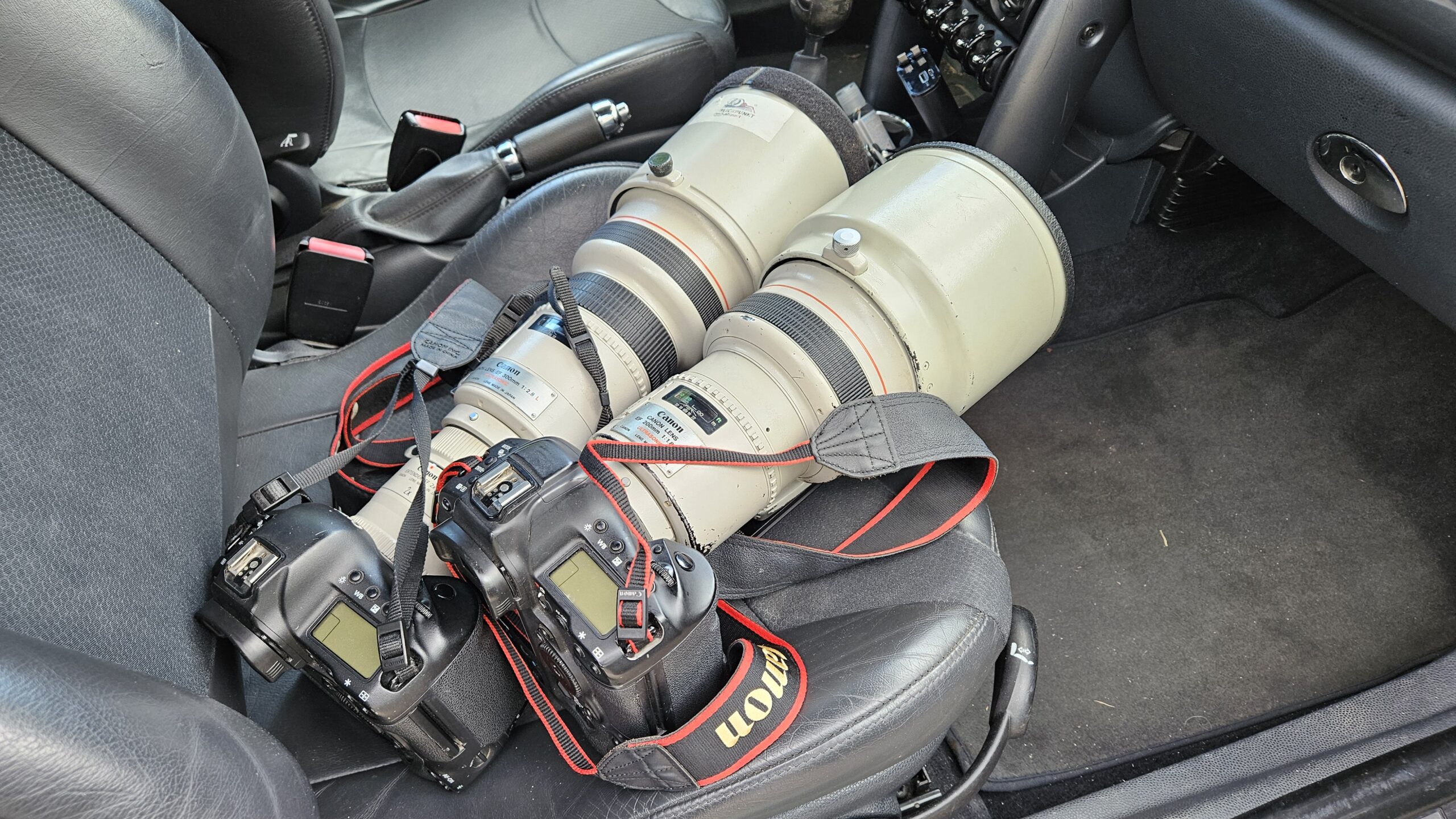 Canon 1 DX